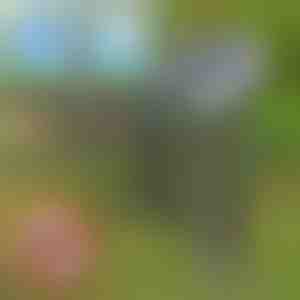 Dispozitiv solar de alungare a dăunătorilor | SOLGUARD