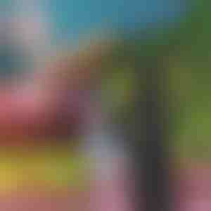 Ventilator repelent pentru muște – fără substanțe chimice, fără spray-uri, ține muștele departe de mâncare și mese | FLYBEGONE