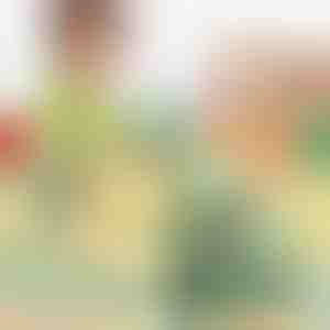 Pistă interactivă cu dinozauri | DINOCLIMBER